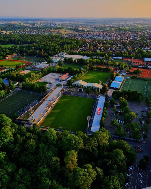 队友创造机 队友创造机