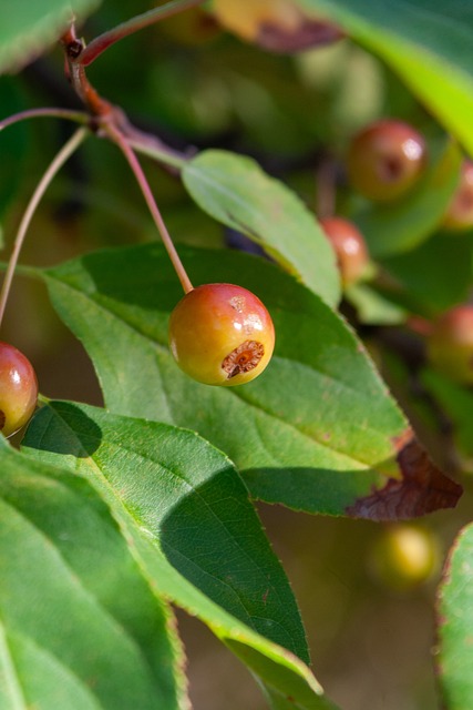 巴黎人报：巴黎夺欧冠姆巴佩也会离队，皇马为他准备好10号球衣.