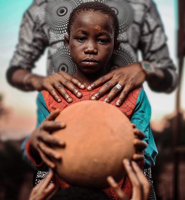 森林覆盖 森林覆盖