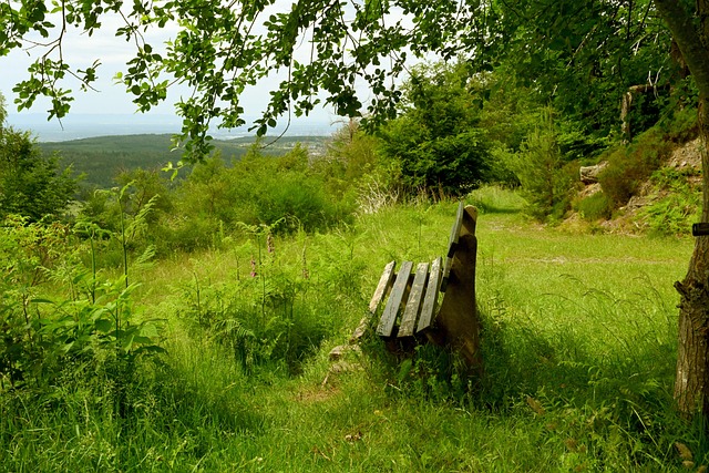 或许隐含着 或许隐含着